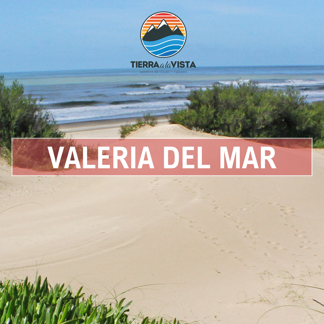Valeria del Mar – Verano 2025